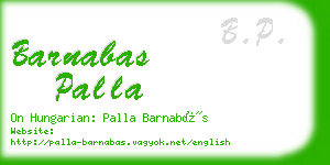 barnabas palla business card